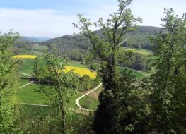 018 - Eglisgraben-Eigental